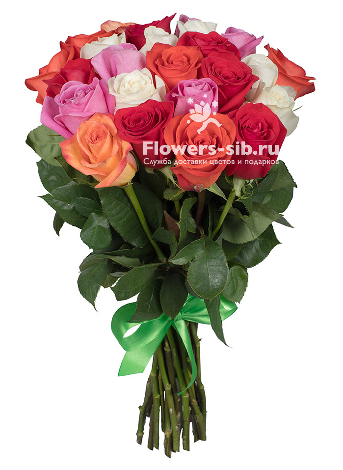 Сиб цветок. 27 Роз букет. Букет из трех больших роз. Букет из 27 роз фото. Букет из разных роз по цвету фото.